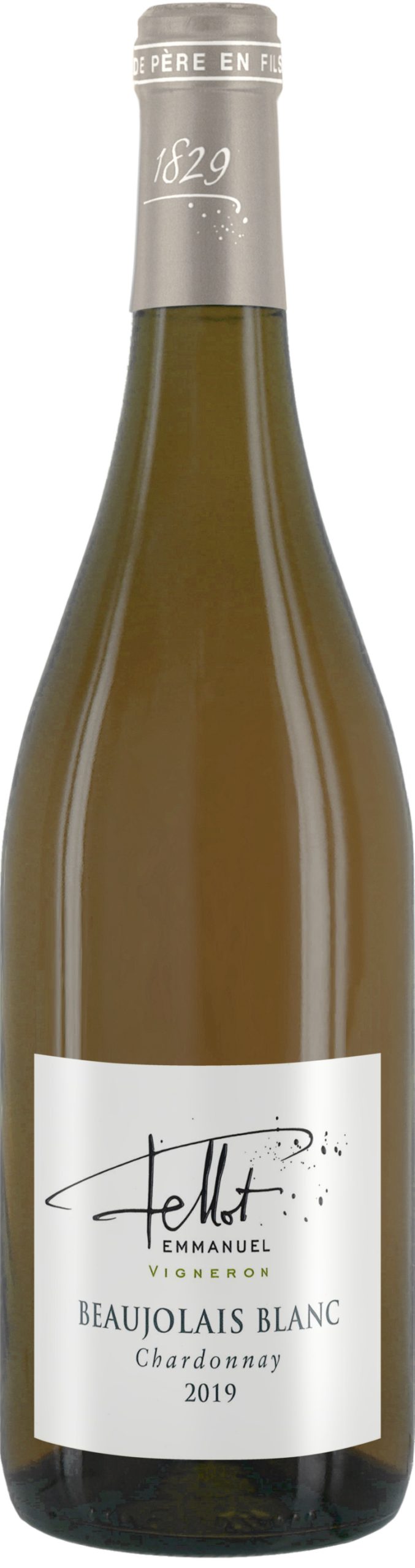 B300_Beaujolais Blanc Fellot Chardonnay 2019 Ammonite - BIO – Image 1