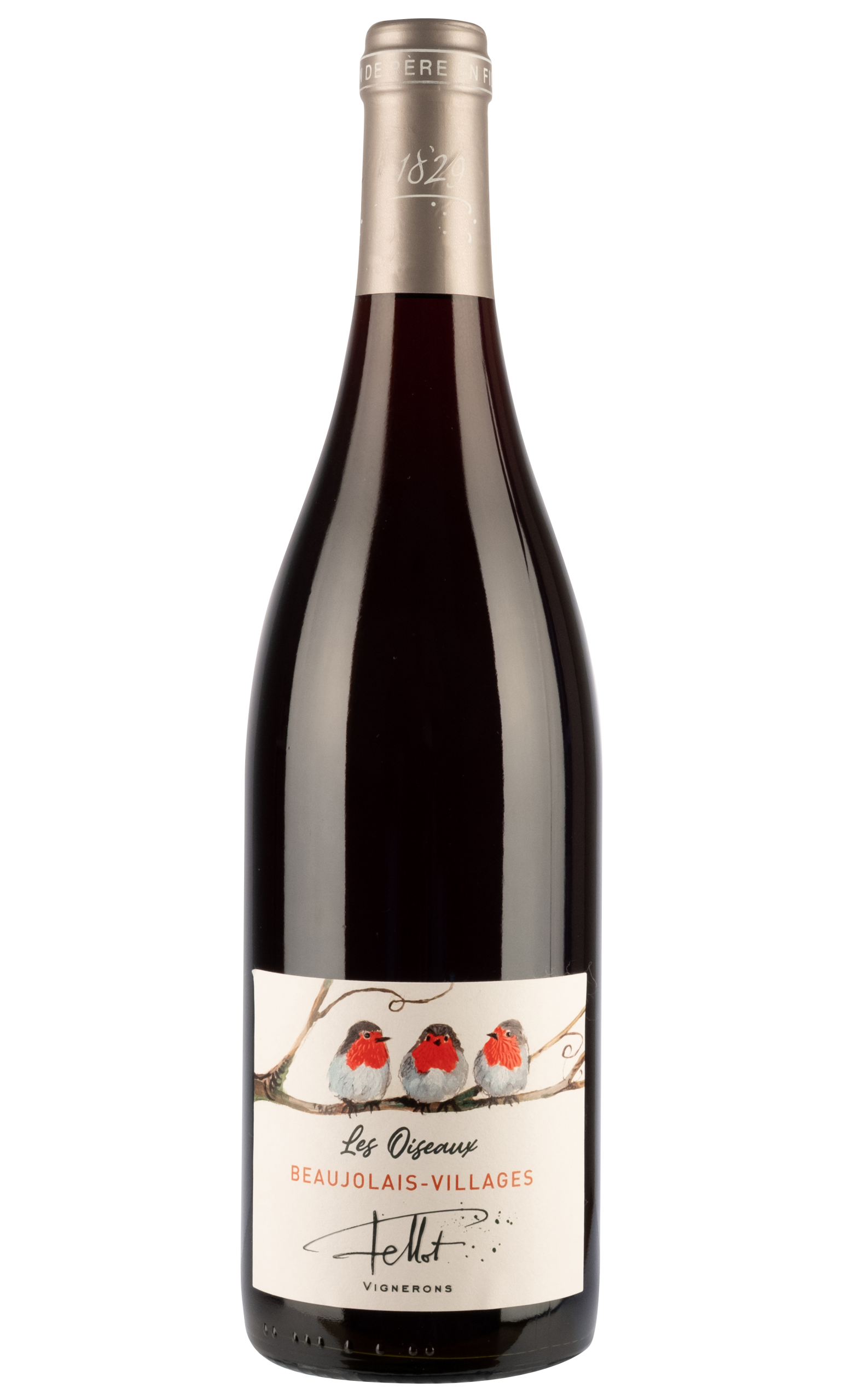 Fellot_Les Oiseaux Les Oiseaux – Image 1