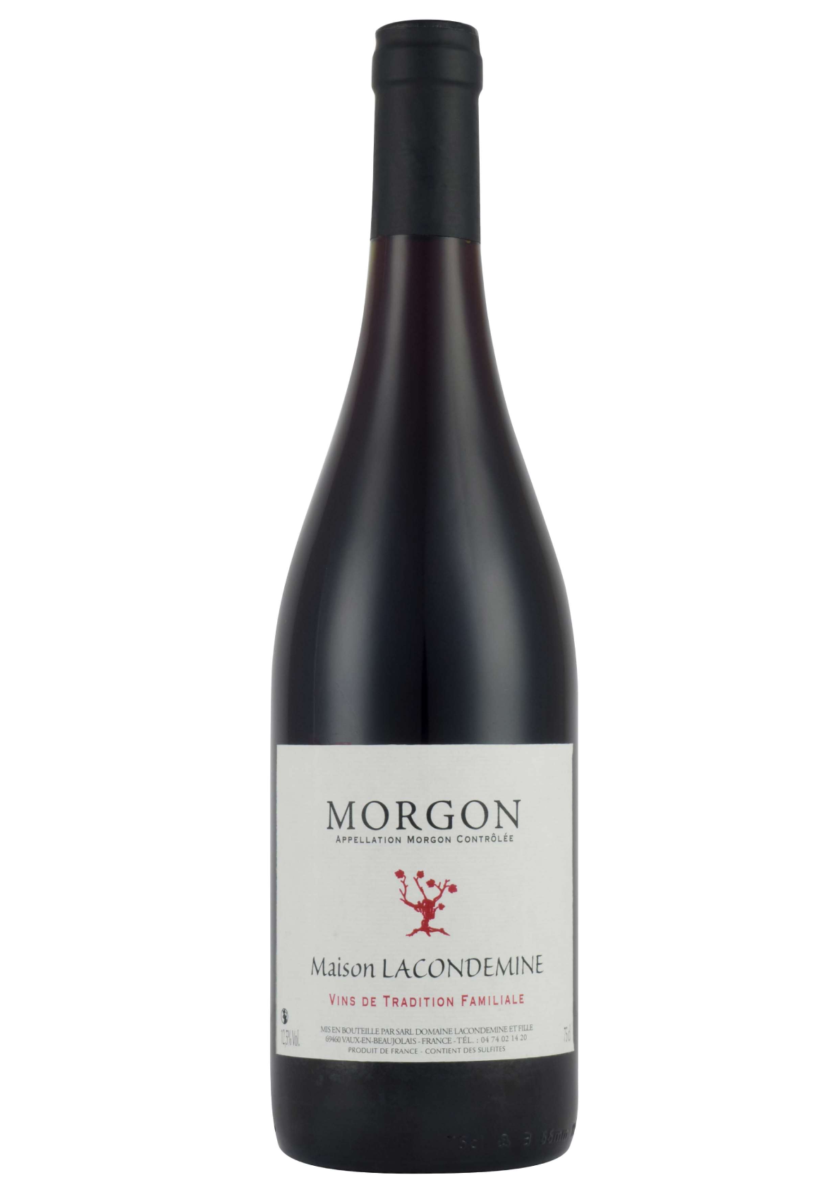 morgon Morgon – Image 1