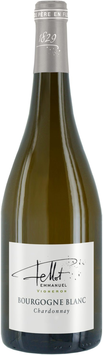Bourgogne blanc - BIO